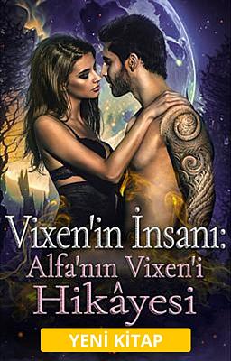Cover image for Vixen'in İnsanı