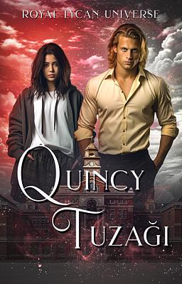 Cover image for Quincy Tuzağı