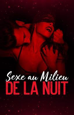 Cover image for Sexe au milieu de la nuit