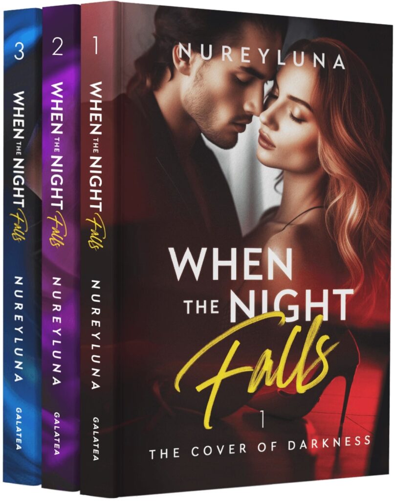 When the Night Falls Series print book